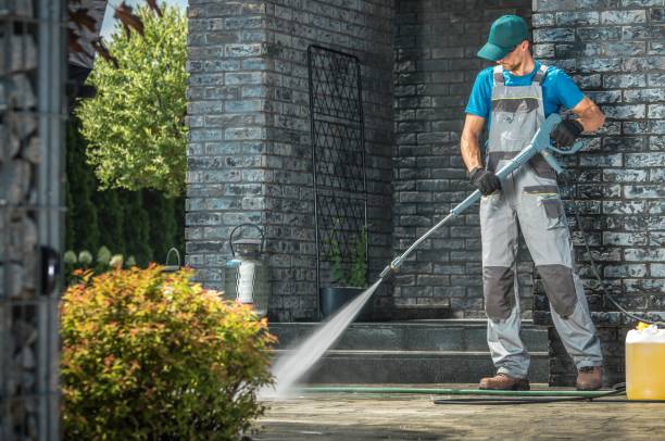 Best Paint Preparation  in Coleman, MI