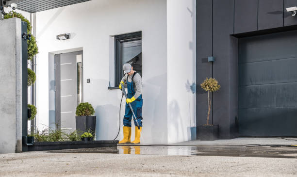 Best Driveway Pressure Washing  in Coleman, MI